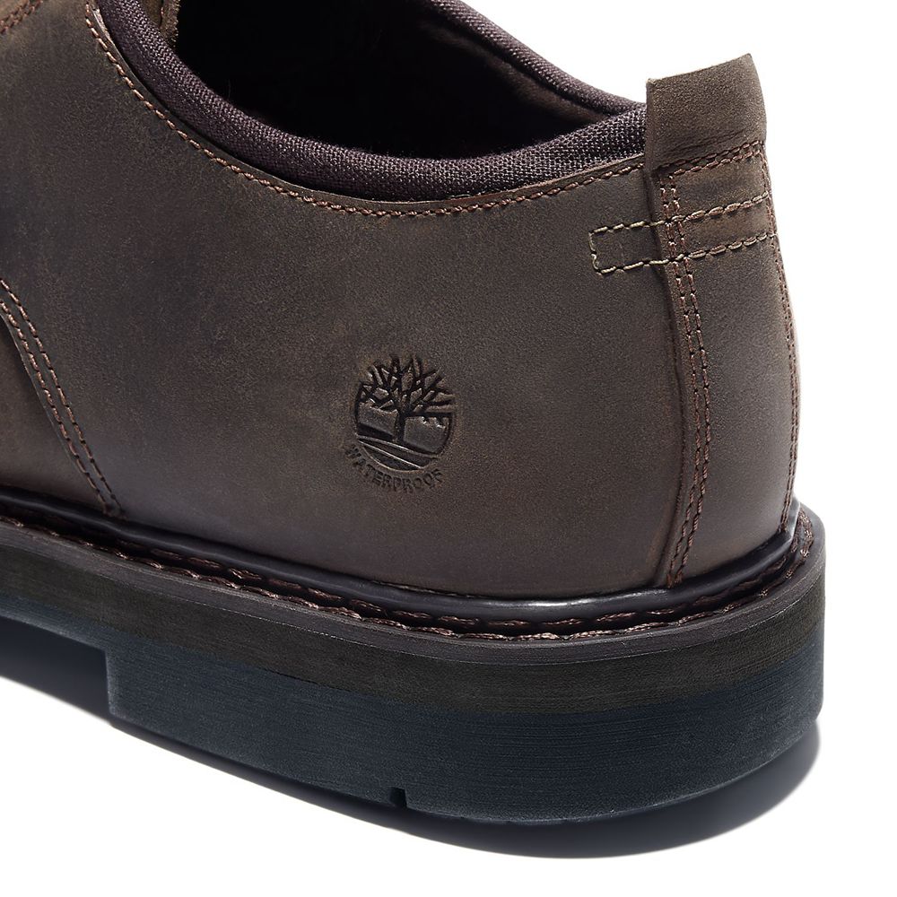 Zapatos Oxford Timberland Argentina Hombre - Squall Canyon Waterproof - Marrones Oscuro - TBFQOL-562